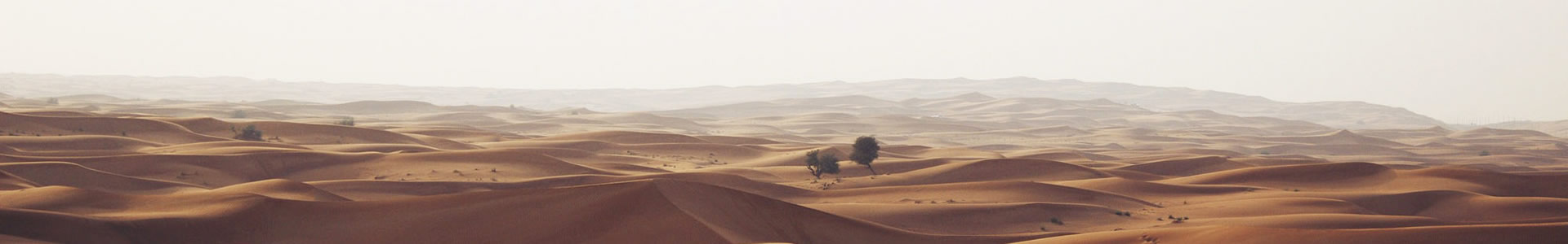 ϸԵó޹˾